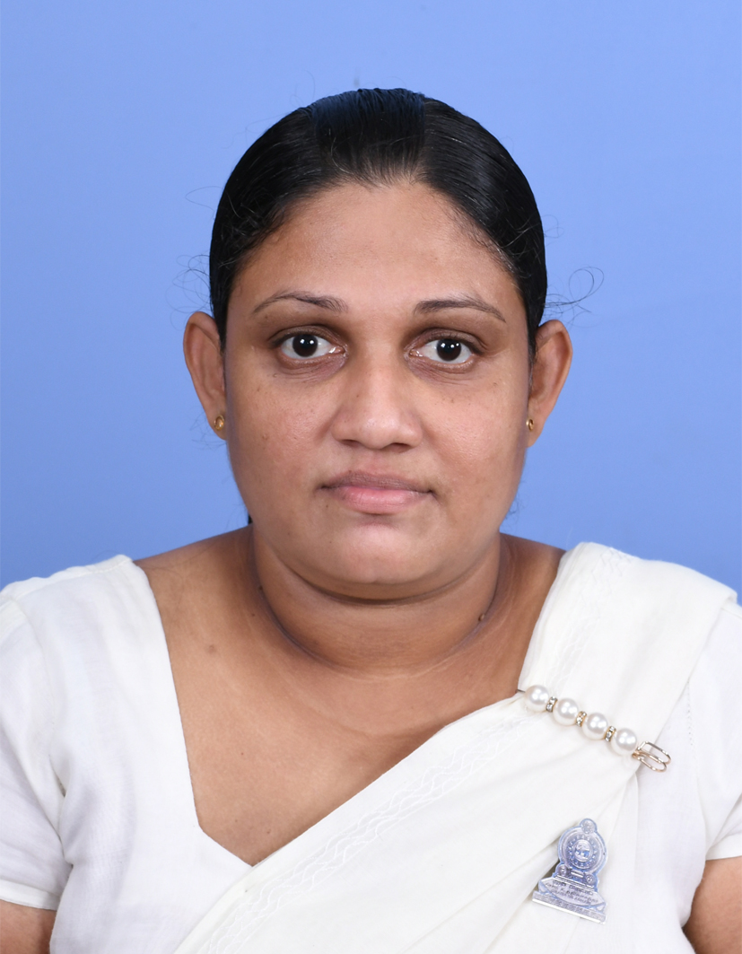 DSC 1251