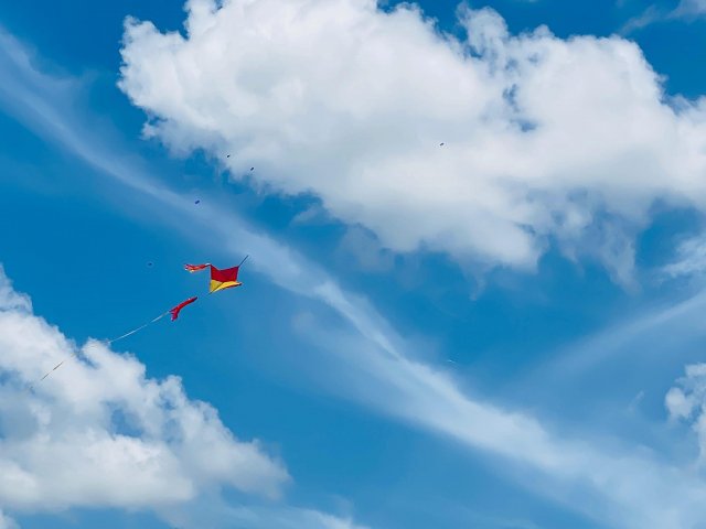 Kite Festival