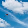 Kite Festival