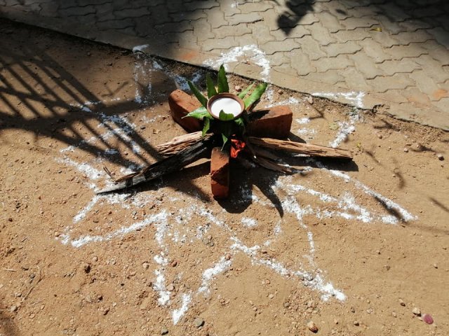 Thai pongal Festival