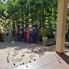 Thai pongal Festival
